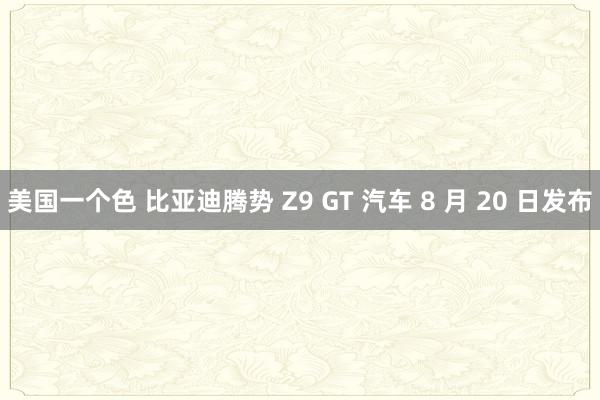 美国一个色 比亚迪腾势 Z9 GT 汽车 8 月 20 日发布