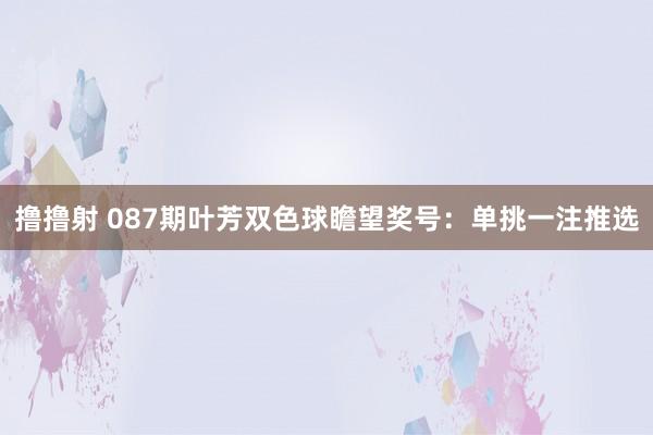 撸撸射 087期叶芳双色球瞻望奖号：单挑一注推选