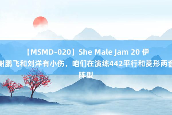 【MSMD-020】She Male Jam 20 伊万：谢鹏飞和刘洋有小伤，咱们在演练442平行和菱形两套阵型