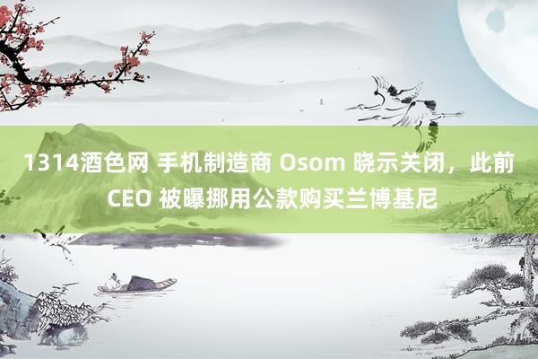 1314酒色网 手机制造商 Osom 晓示关闭，此前 CEO 被曝挪用公款购买兰博基尼