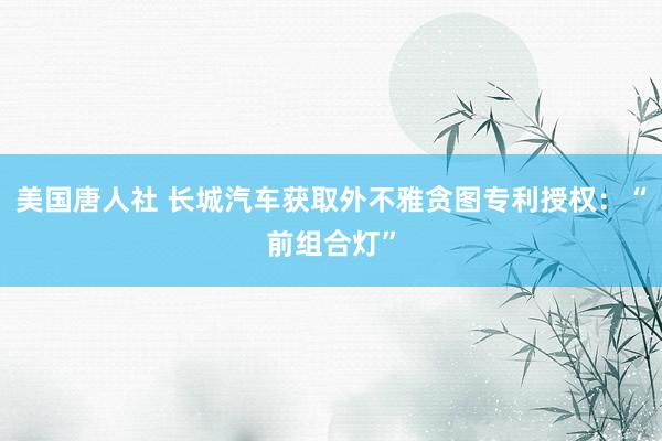 美国唐人社 长城汽车获取外不雅贪图专利授权：“前组合灯”