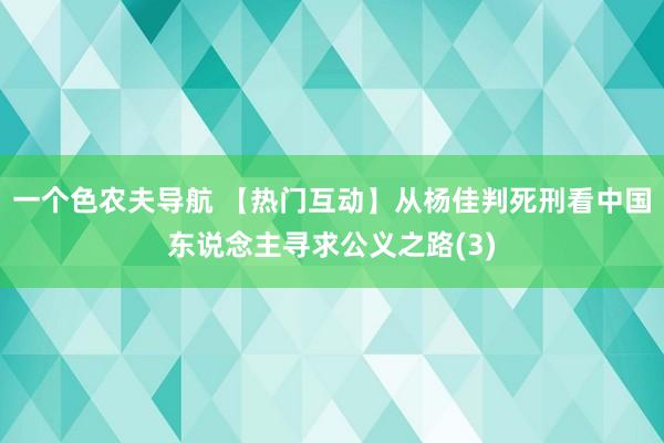 一个色农夫导航 【热门互动】从杨佳判死刑看中国东说念主寻求公义之路(3)